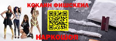 индика Кингисепп