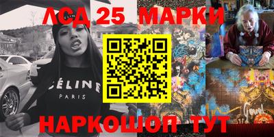 индика Кингисепп