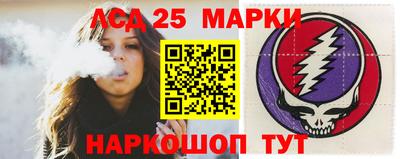 индика Кингисепп