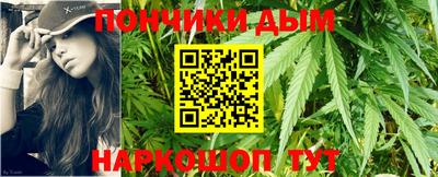индика Кингисепп