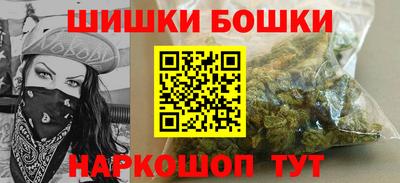 индика Кингисепп