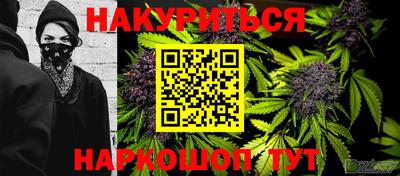 индика Кингисепп