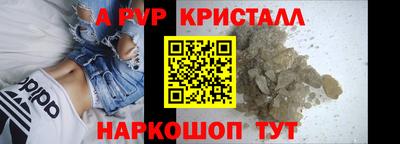 индика Кингисепп