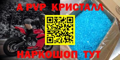 индика Кингисепп