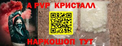 индика Кингисепп