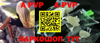 индика Кингисепп