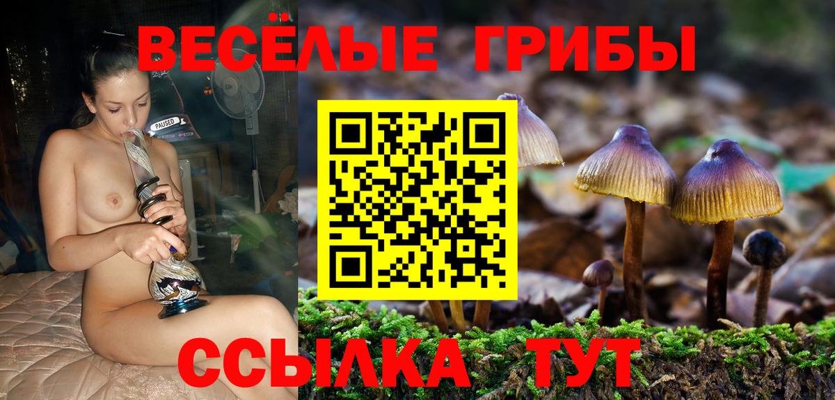 Галлюциногенные грибы Magic Shrooms Камышин