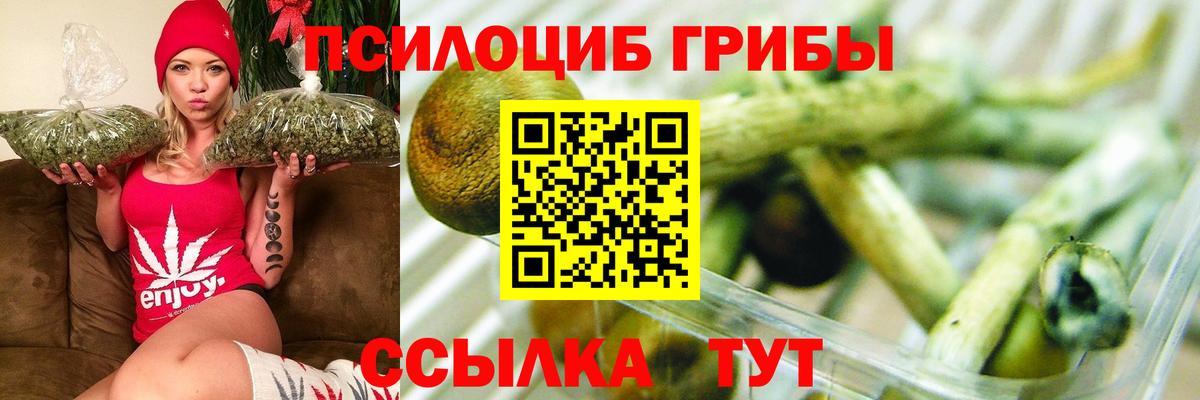 Галлюциногенные грибы Cubensis  Вход с VPN  Камышин  Галлюциногенные грибы Cubensis 